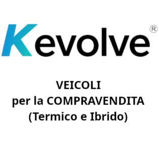 Flotte di Veicoli